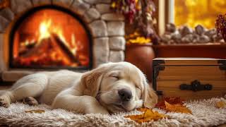 12 Hours Of Dog Calming Music 🎵 Separation Anxiety Relief Music 💖 Healing Dog Tunes 🐶Comfort &amp; Rest