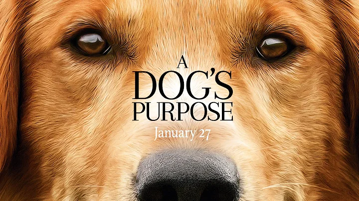 A Dog's Purpose - Official Trailer (HD) - DayDayNews