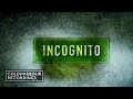 Dave Neven - Incognito