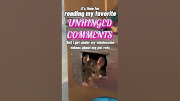 Reading My Favorite Unhinged Comments - Part 7