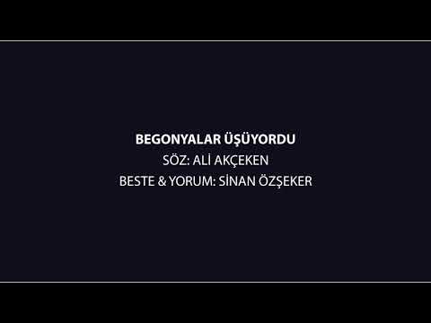 BEGONYALAR USUYORDU