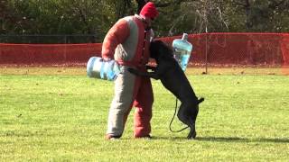 PSA Nationals 2014-Brutus Handler Attack