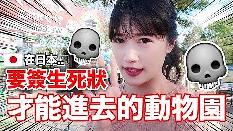 【危險】要簽生死狀才能進去！日本最危險的動物園也太可怕了！！😱｜MaoMaoTV - 天天要聞