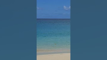 Mullet bay beach ( St- Marteen 2023)