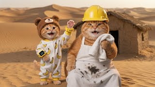 Mama Cat’s Night Job for Her Late Ginger Kitten Will Melt Your Heart 🐾⏰ 