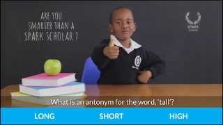 Are you smarter than a SPARK Scholar Quiz one.