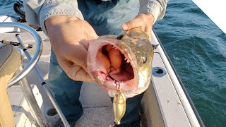 Jigging for walleye tips