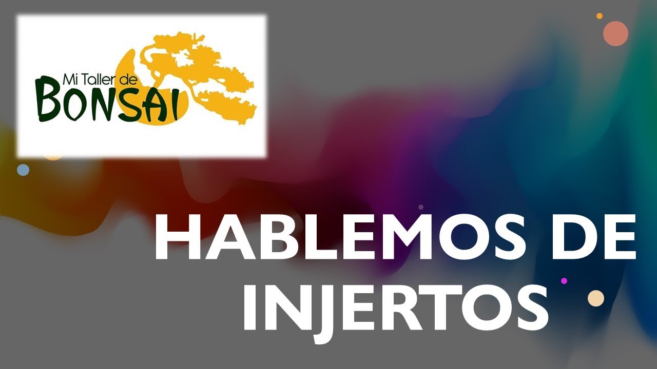 Hablemos de INJERTOS