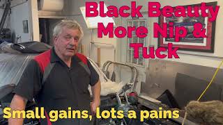 Black Beauty, More Nip & Tuck