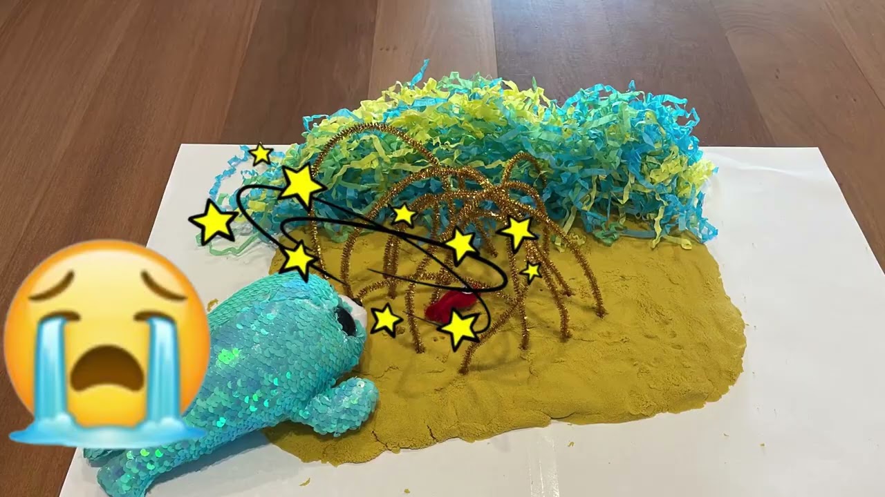 Mangrove Mystery, The secret world of roots– Highly Commended, 2025 Sleek Geeks Science Eureka Prize