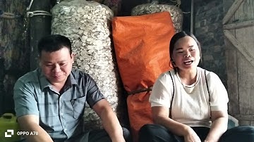 Hát Lượn -  Anh Em Hòa An Hạ Lang gặp nhau hát vu vơ rất vui vẻ mọi người cùng nghe nhé &