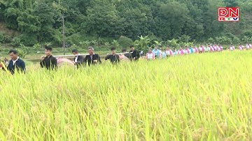 Độc đáo Lễ hội Kin Lẩu khẩu mẩu của của người Thái ở Lai Châu