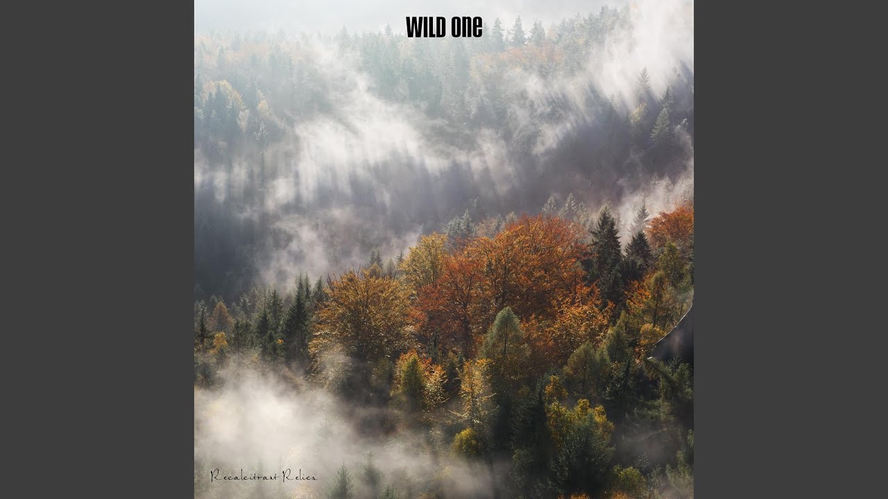 Wild One - YouTube