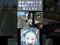 【#eurotrucksimulator2】新人無免許ドライバー邪知暴虐を尽くす #vtuber #shorts