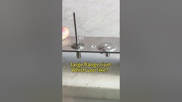 Big flange rivets, which one looks good?