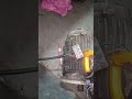3 Phase 2 Hp 1450 RPM motor checked in Star connection ⚡💯✅
