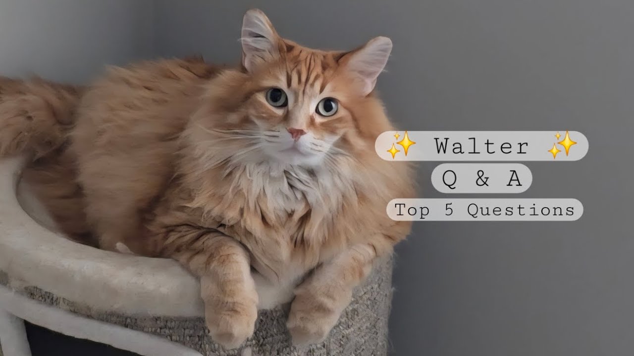 ✨ Week 6 Discussion: TOP FIVE QUESTIONS ✨