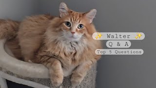 ✨ Week 6 Discussion: TOP FIVE QUESTIONS ✨