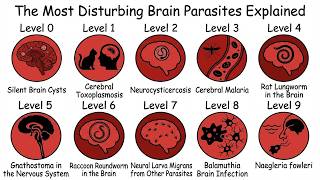 The Most Disturbing Brain Parasites Explained in 15 Minutes