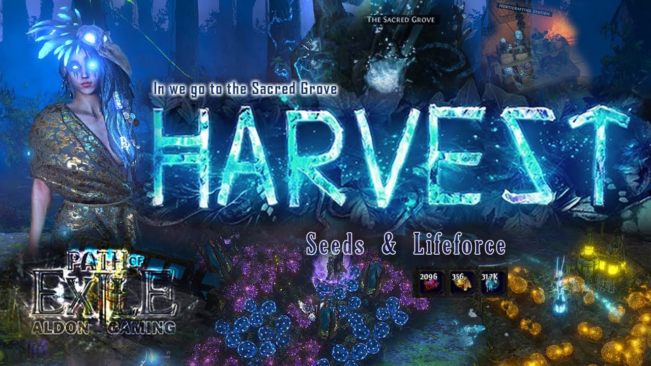 Sacred Grove Harvest Highlights POE 13 YouTube