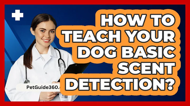 How to Teach Your Dog Basic Scent Detection?