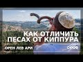 Как отличить Песах от Киппура | Орен Лев Ари