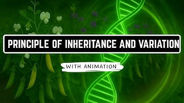 PRINCIPLE OF INHERITANCE AND VARIATION with animation in just 25 minutes. #biology