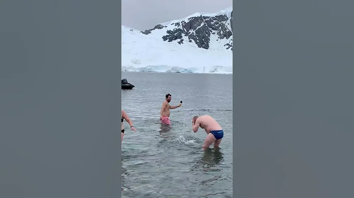 Antarctic Polar Plunge
