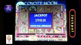 The Secret Behind the Huge Coyote Moon Slots Jackpot!