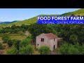 FOOD FOREST FARM FOR SALE - 30,000 - MOUNTAIN PARADISE IN FUNDAO CENTRAL PORTUGAL