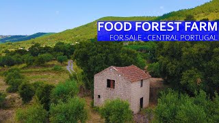 FOOD FOREST FARM FOR SALE - 30,000 - MOUNTAIN PARADISE IN FUNDAO CENTRAL PORTUGAL