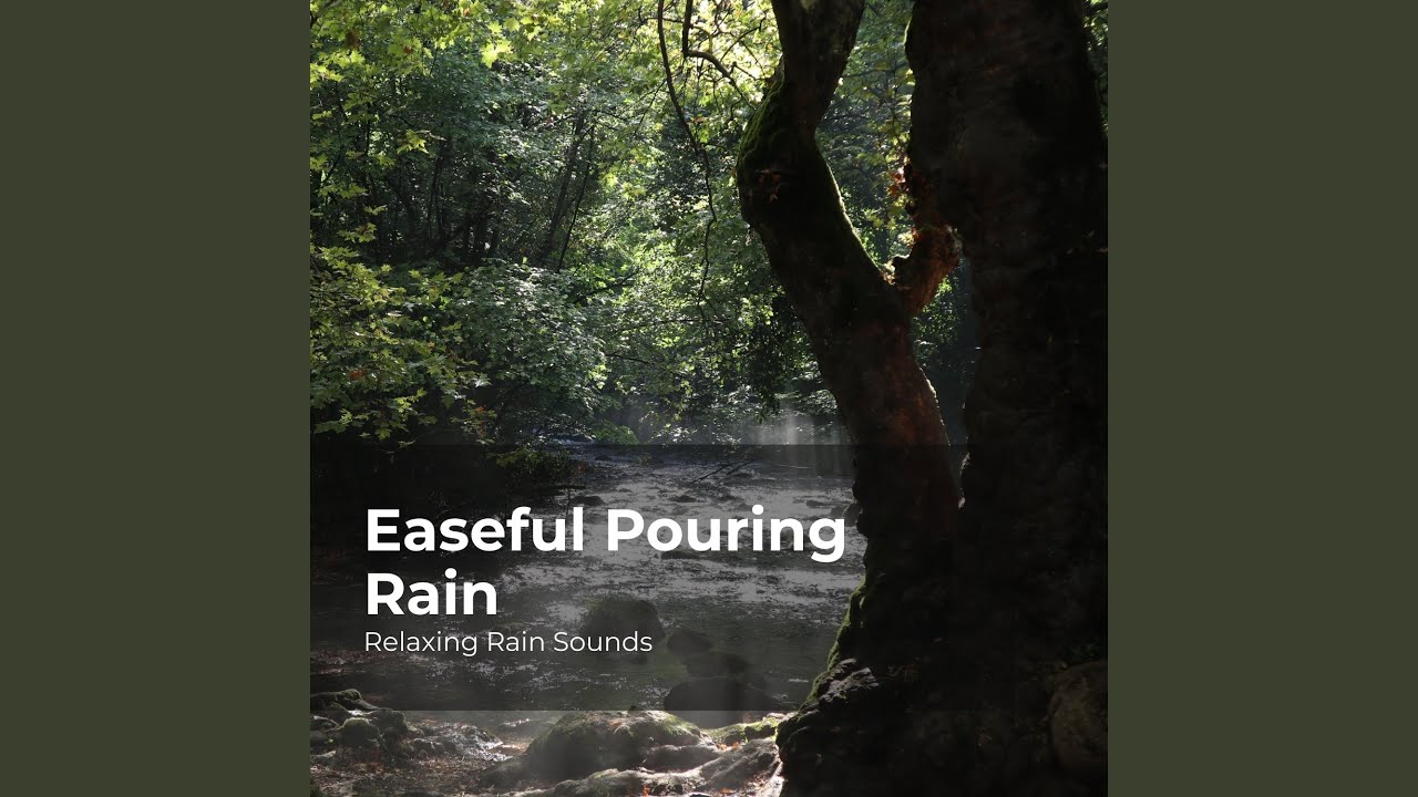Cool Down With Rain - YouTube
