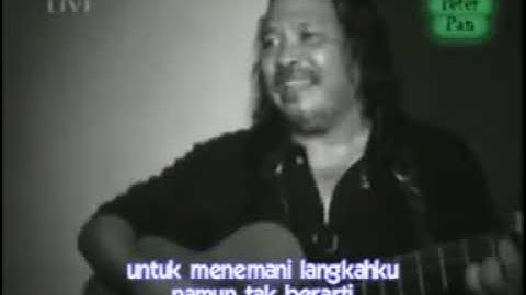 Peterpan live-Bintang di surga