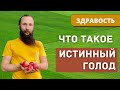 Что такое истинный голод?