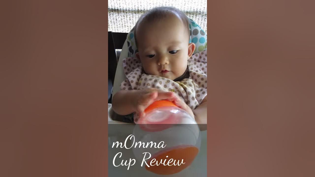 Lansinoh mOmma Spill Proof Cup Review