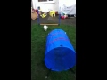 Oscars agility round