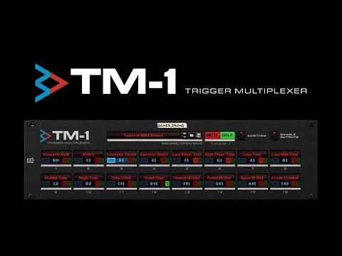 TM-1 Trigger Multiplexer