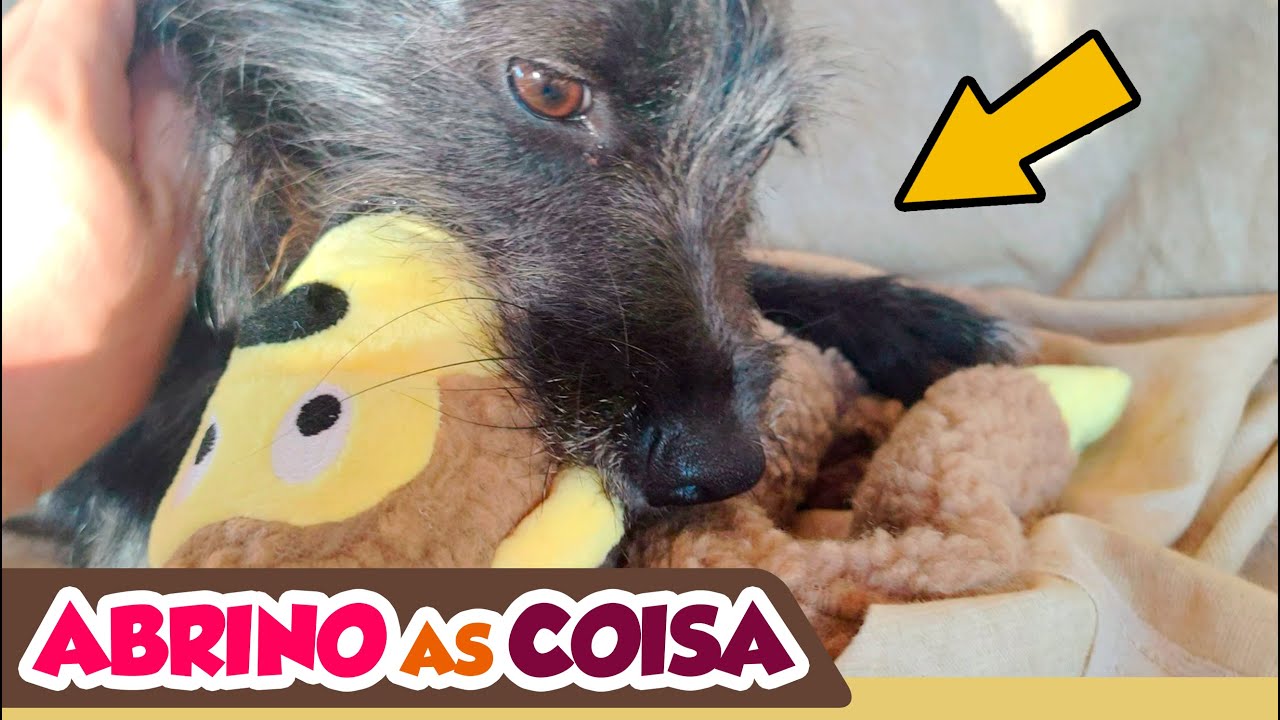 ABRINOasCOISA #104 - A PANTERA GANHOU MUITA COISA - Fubá online