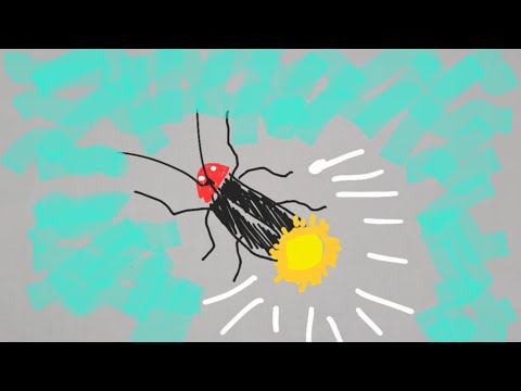 (마이크없이)나는반딧불-중식이 #불꽃실용음악노래방 221020