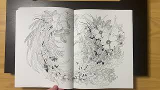 Flip through of Leila Duly’s new book Walk in the Woods