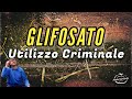 Utilizzo Criminale del Glifosato