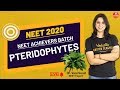 Pteridophytes | Class 11 NEET Biology | NEET 2020 Achievers | Dr. Vani Ma'am | Vedantu Biotonic