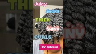 How I do my curls/twist, a tutorial #hair #blackhair #minitwists #hairtutorial