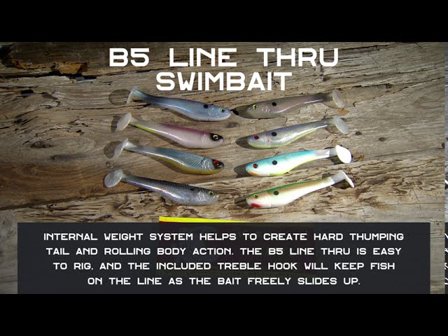 Big Bite Baits B5 Line Thru Swimbait 5-Inch (B5LT) - Fishermen's