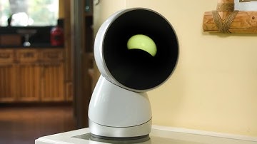 Jibo the family robot | Download This Show