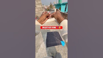 Kite Flying: The Secret Art of Mastering the Wind