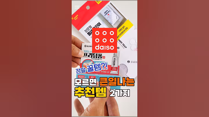 다이소에서 모르고사면 큰일나는 추천템! 2가지