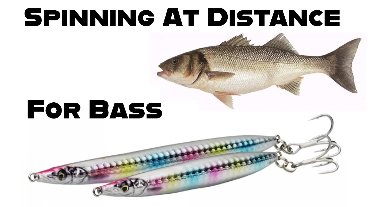 how-to-spin-for-bass-at-distance-lure-fishing-uk-sea-fishing