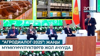 : -2025:    