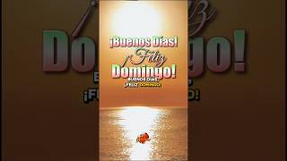 Buenos días, feliz domingo! #buenosdias #frases #palabradios #amor